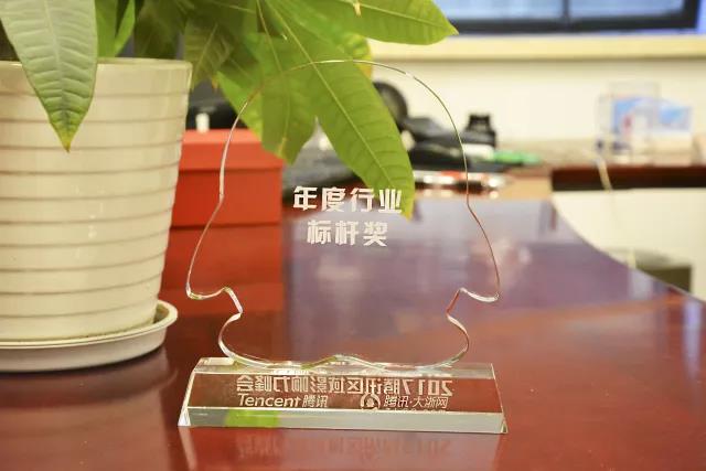 年度行业标杆.jpg